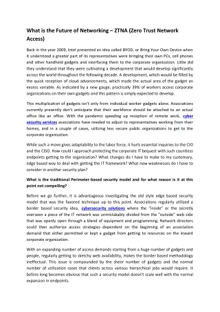 what is the future of networking ztna zero trust
