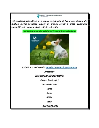 I migliori veterinari specializzati in animali esotici a Roma