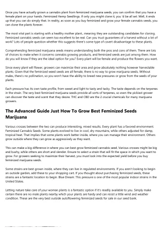 9 Ways Towards Fully Undermine Your Special Feminized Seeds Vs Regular