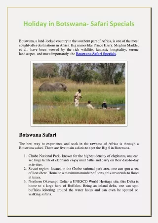 holiday in botswana safari specials
