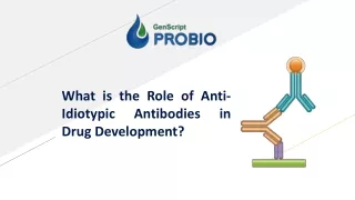 What is What is the Role of Anti-Idiotypthe Role of Anti-Idiotypic Antibodies in