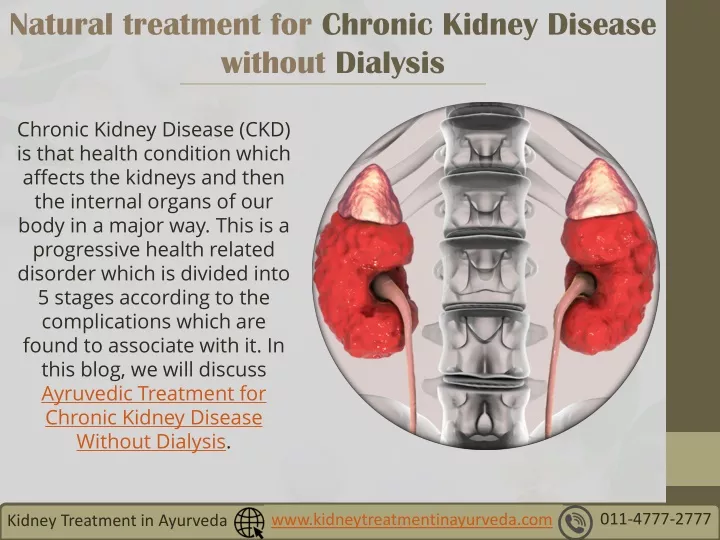 natural treatment for chronic kidney disease