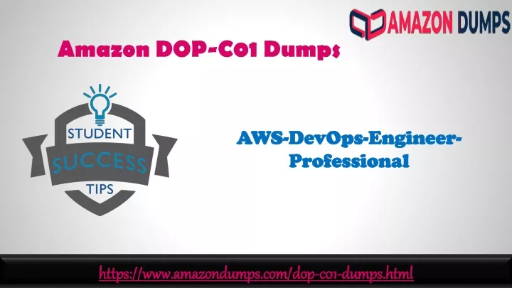 amazon dop c01 dumps