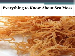 Everything to Know About Sea Moss