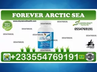 Forever Arctic sea