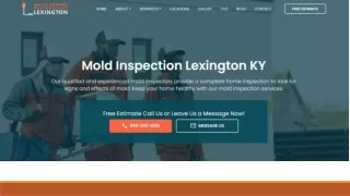 Mold Inspection Lexington KY