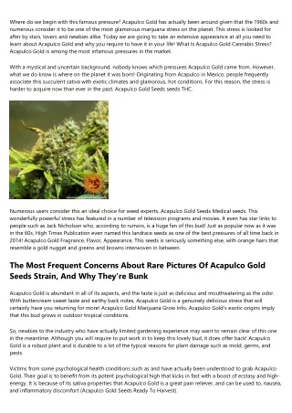 Your Worst Nightmare About Amazing Marijuana Acapulco Gold Strain Seeds Revive