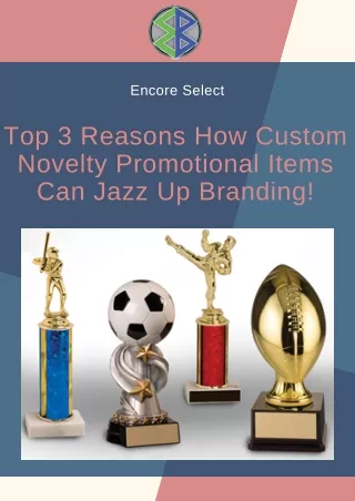 Top 3 Reasons How Custom Novelty Promotional Items Can Jazz Up Branding!