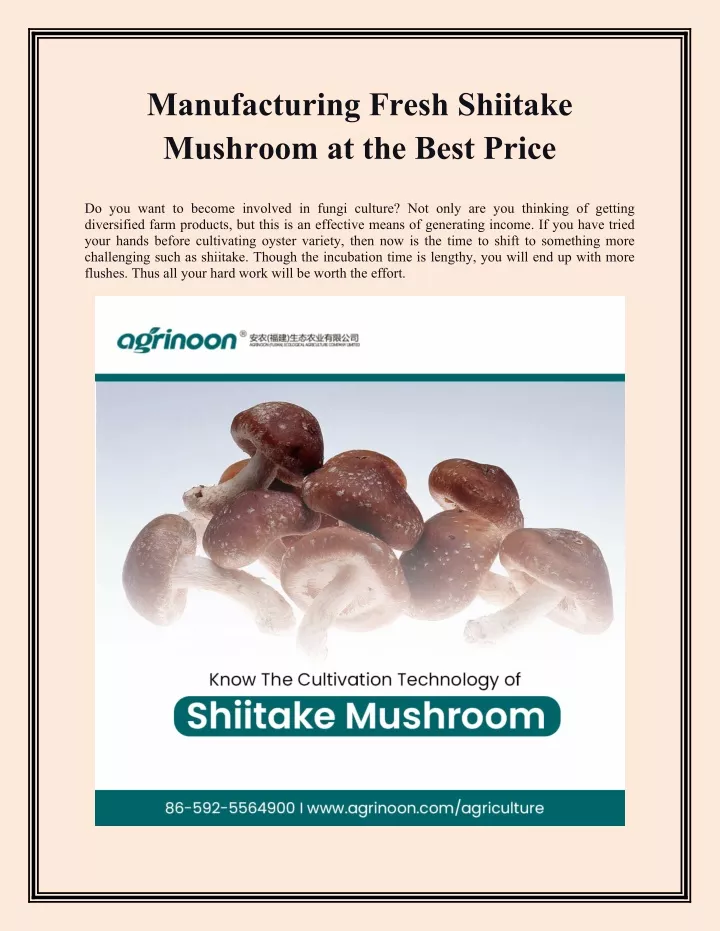 manufacturing fresh shiitake mushroom at the best