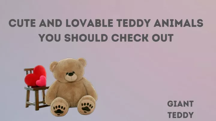 cute and lovable teddy animals you should check