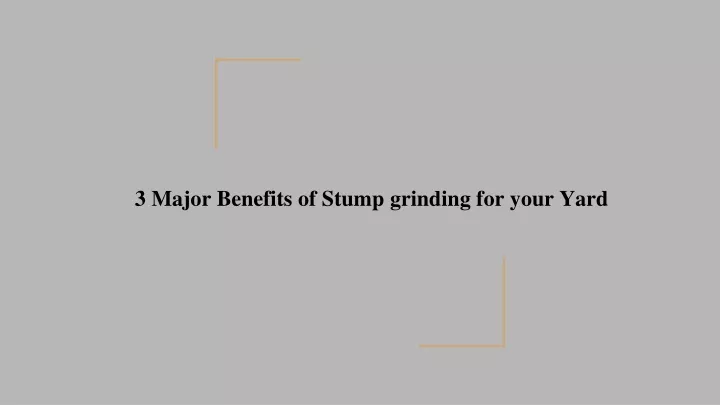 3 major benefits of stump grinding for your yard