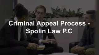 Criminal Appeal Process - Spolin Law P.C