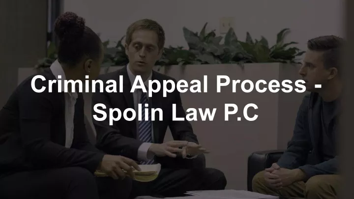 criminal appeal process spolin law p c