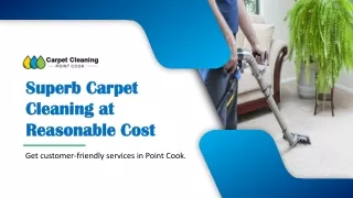 superb carpet superb carpet cleaning at cleaning