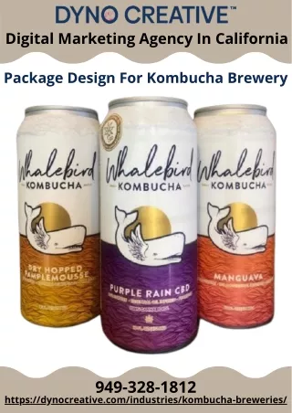 Package Design For Kombucha Brewery | Best Product Packaging | Dyno Creative