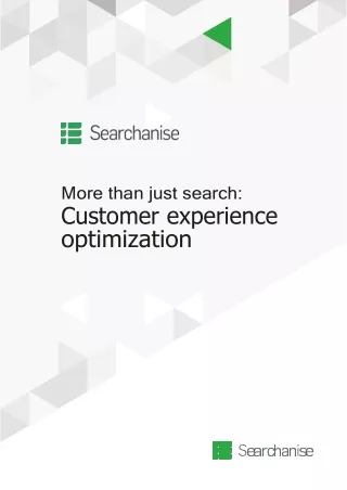 Searchanise.io - More than just search: Customer experience optimization