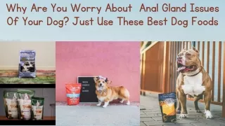 Why Are You Worry About  Anal Gland Issues Of Your Dog Just Use These Best Dog Foods