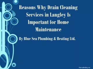 Reasons Why Drain Cleaning Services in Langley Is Important for Home Maintenance