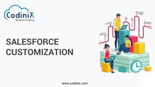 salesforce customization