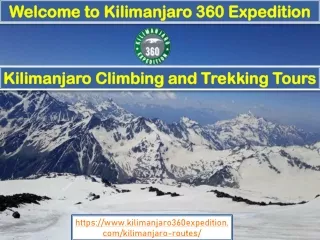 Kilimanjaro Climbing and Trekking Tours