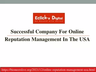 Successful Company For Online Reputation Management In The USA