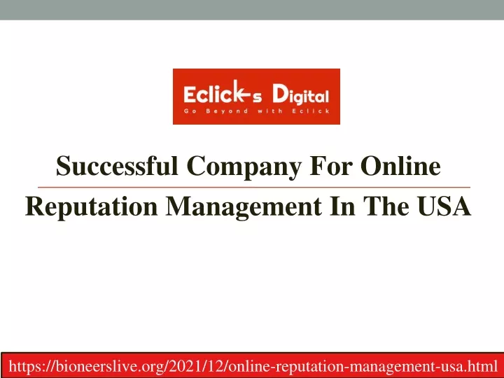 successful company for online reputation management in the usa