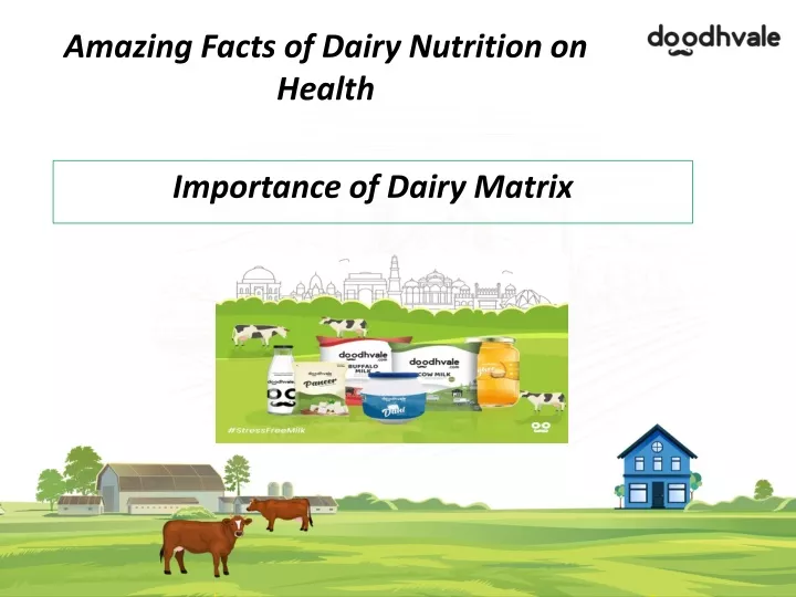 amazing facts of dairy nutrition on health