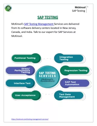 mcki n sol sap testing