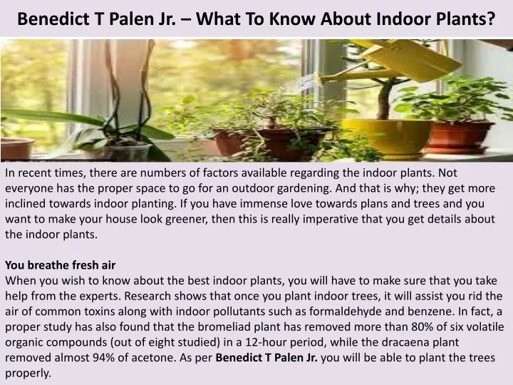 benedict t palen jr what to know about indoor plants