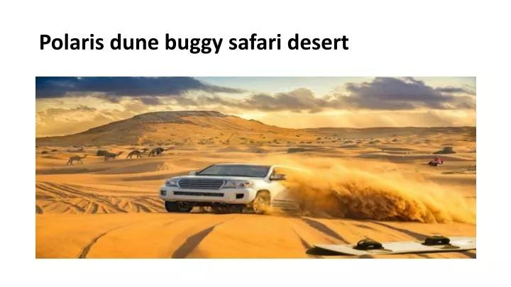polaris dune buggy safari desert