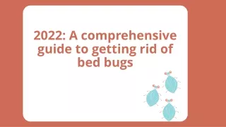2022 A comprehensive guide to getting rid of bed bugs