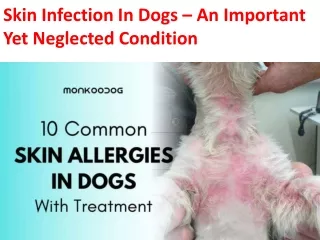 Skin Infection In Dogs – An Important Yet Neglected Condition