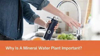 Why is a mineral water plant important.