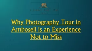 Why Photography Tour in Amboseli is an Experience Not to Miss
