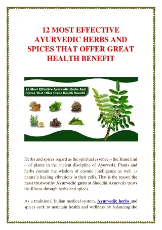 12 MOST EFFECTIVE AYURVEDIC HERBS AND SPICES THAT