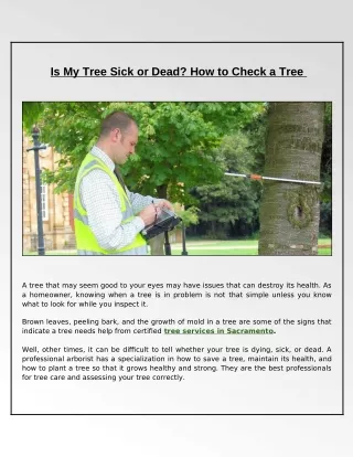 is my tree sick or dead how to check a tree
