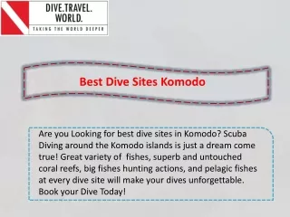 Best Dive Sites Komodo