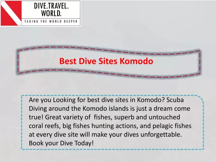 best dive sites komodo