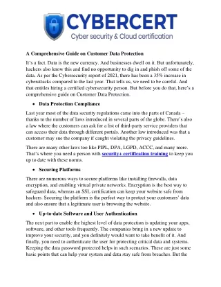 A Comprehensive Guide on Customer Data Protection
