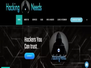 Professional hacker