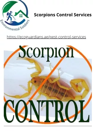 Scorpions Control Services  Eco Guardians