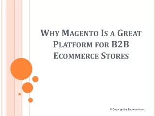 Why Magento Is a Great Platform for B2B Ecommerce Stores