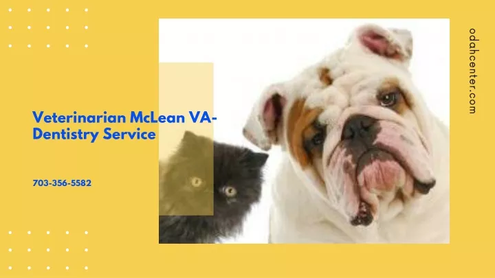 veterinarian mclean va dentistry service