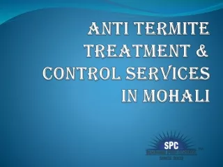 Anti Termite Treatment & Control Services in Mohali