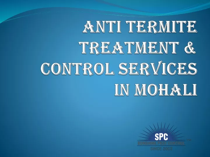 anti termite treatment control services in mohali