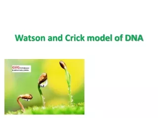Watson and crickmodel of DNA