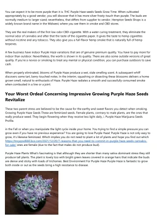 19 Convincing Reasons You Needed To Have Purple Haze Seeds Cannabis Strain For S