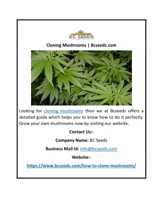 Cloning Mushrooms | Bcseeds.com