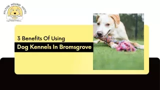 3 Benefits Of Using Dog Kennels In Bromsgrove