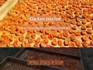 Buy Dried Fruit 16-11-2021